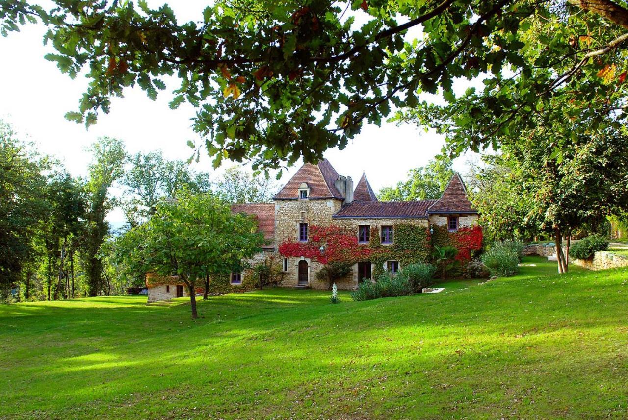 Le Manoir Du Rocher Domme Buitenkant foto