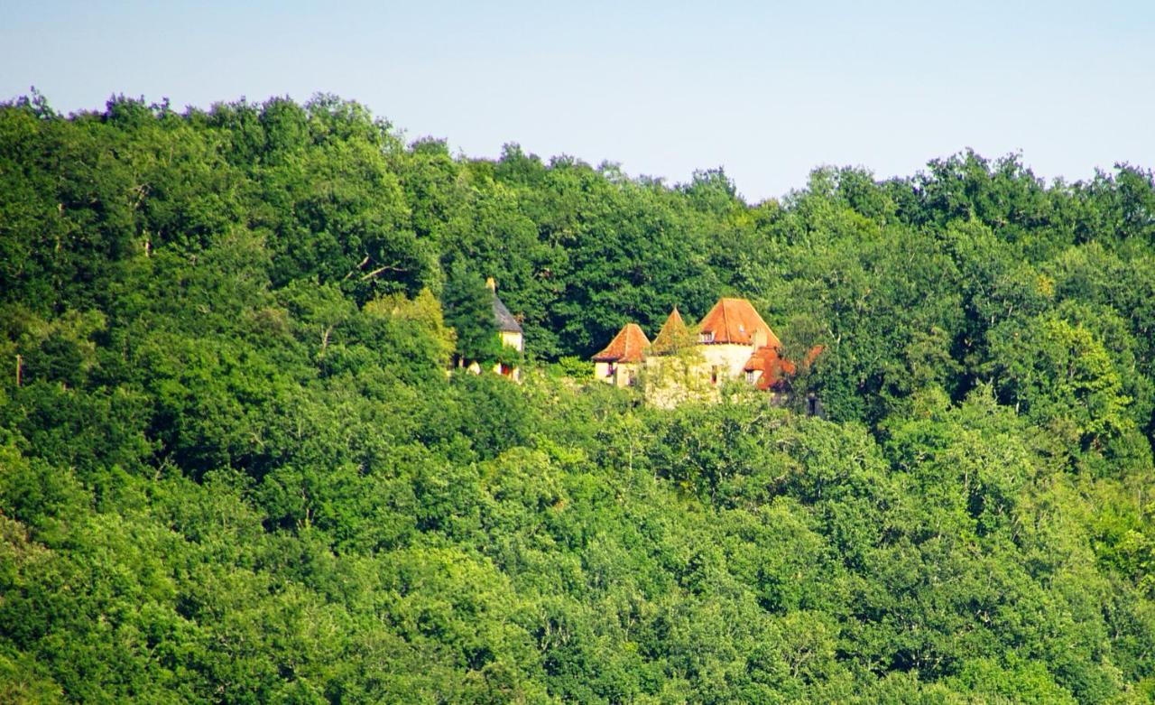 Le Manoir Du Rocher Domme Buitenkant foto