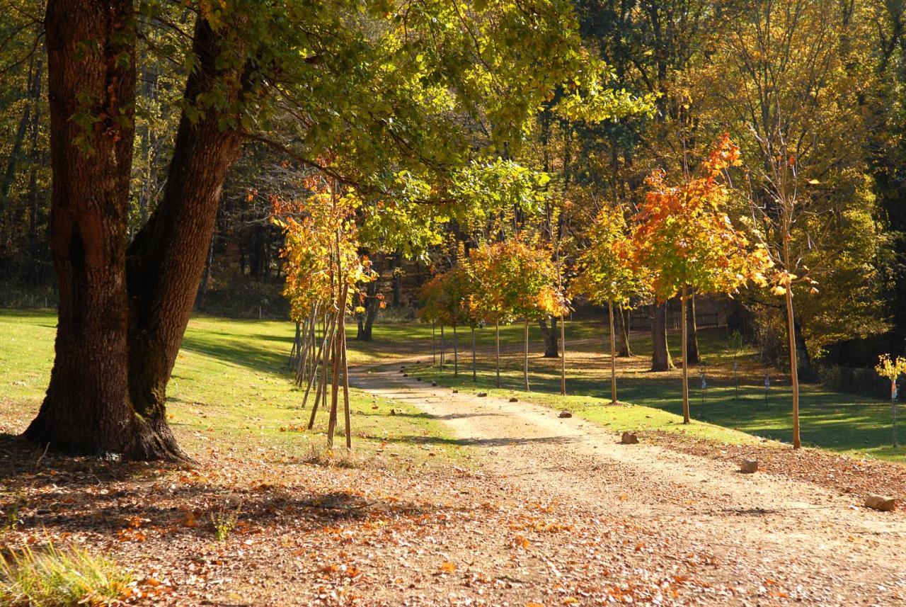 Le Manoir Du Rocher Domme Buitenkant foto