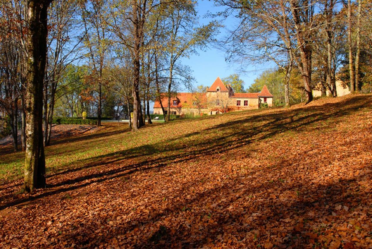 Le Manoir Du Rocher Domme Buitenkant foto